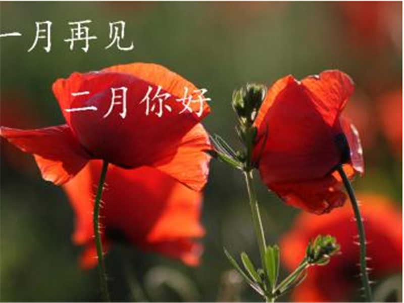 一月再見，美好的二月你好啊